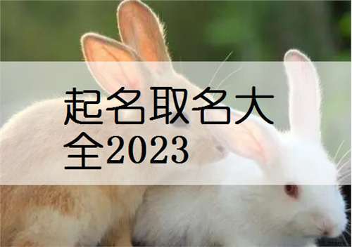 2023年男兔宝宝取名字最佳字 2023年男兔宝宝取名字