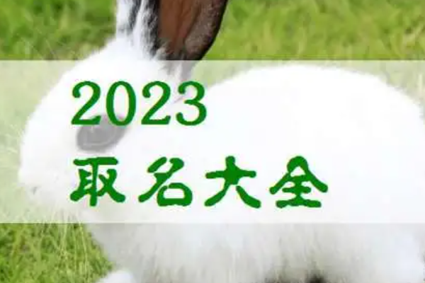 男孩起名字大全免费2023年属兔 兔年的男孩取名