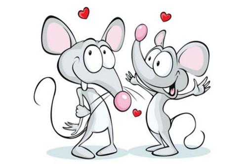 属鼠人命中注定的婚姻,与属鼠人最配的是谁