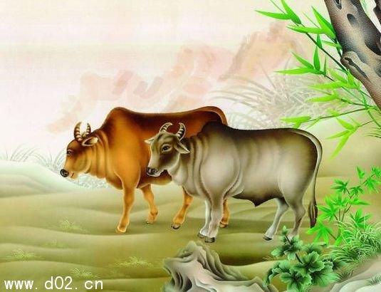 生肖牛的人生观是什么样的
