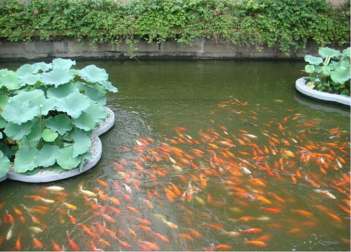 少儿创意美术《池塘》,作品真的好惊艳!_动植物
