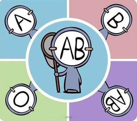 AB A B O哪个血型最稀有 ABABO哪个血型最多