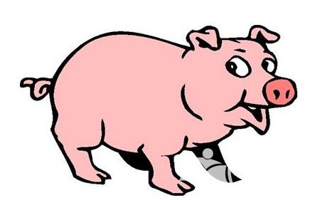 民俗学 生肖知识 属猪 《属猪2023年运程分析》正文   生肖属猪的人