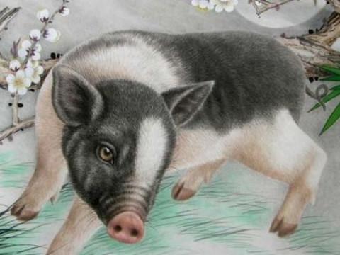 属猪人虽然性格都非常的内向而且保守,但是其实他们的头脑都非常的