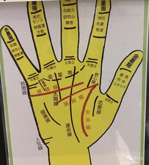 人的掌纹是迷信还是科学依据 三种命不好的手纹