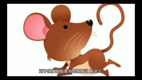双子座属鼠的基本性格解说-情感视频-搜狐视频